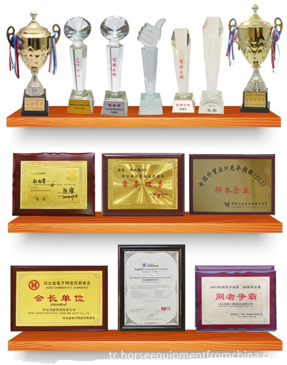 sertifika certificate